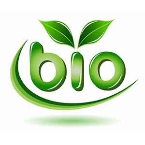 sdt_bio